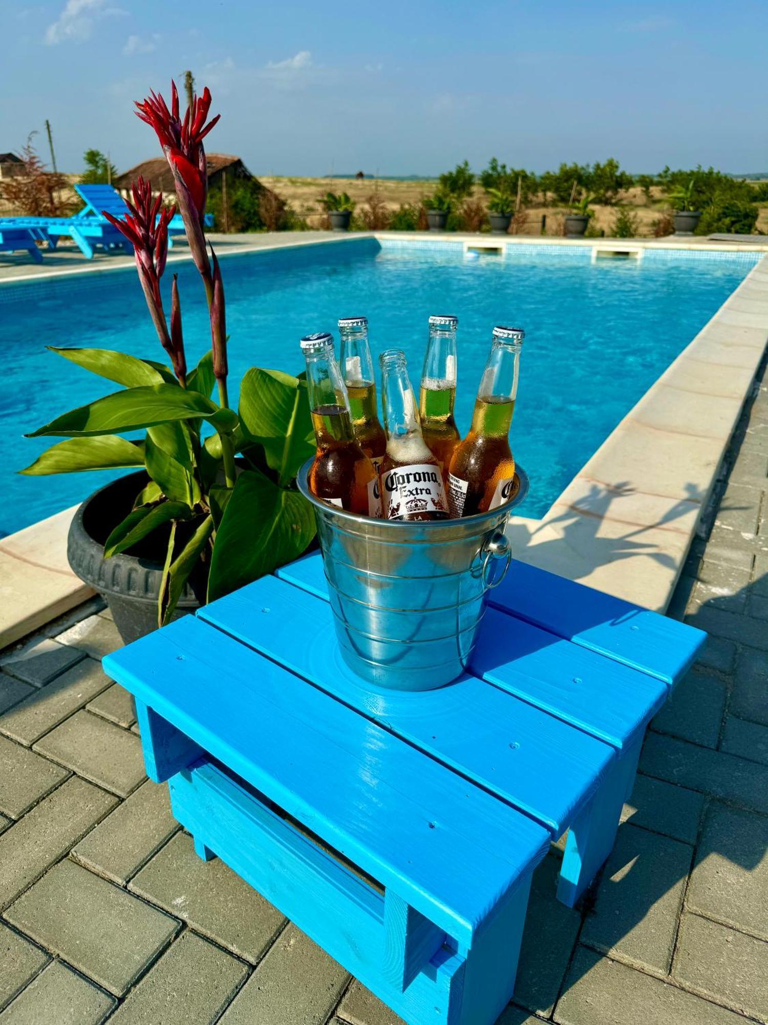 Danube Delta View Hotel Dunavatu de Jos Luaran gambar