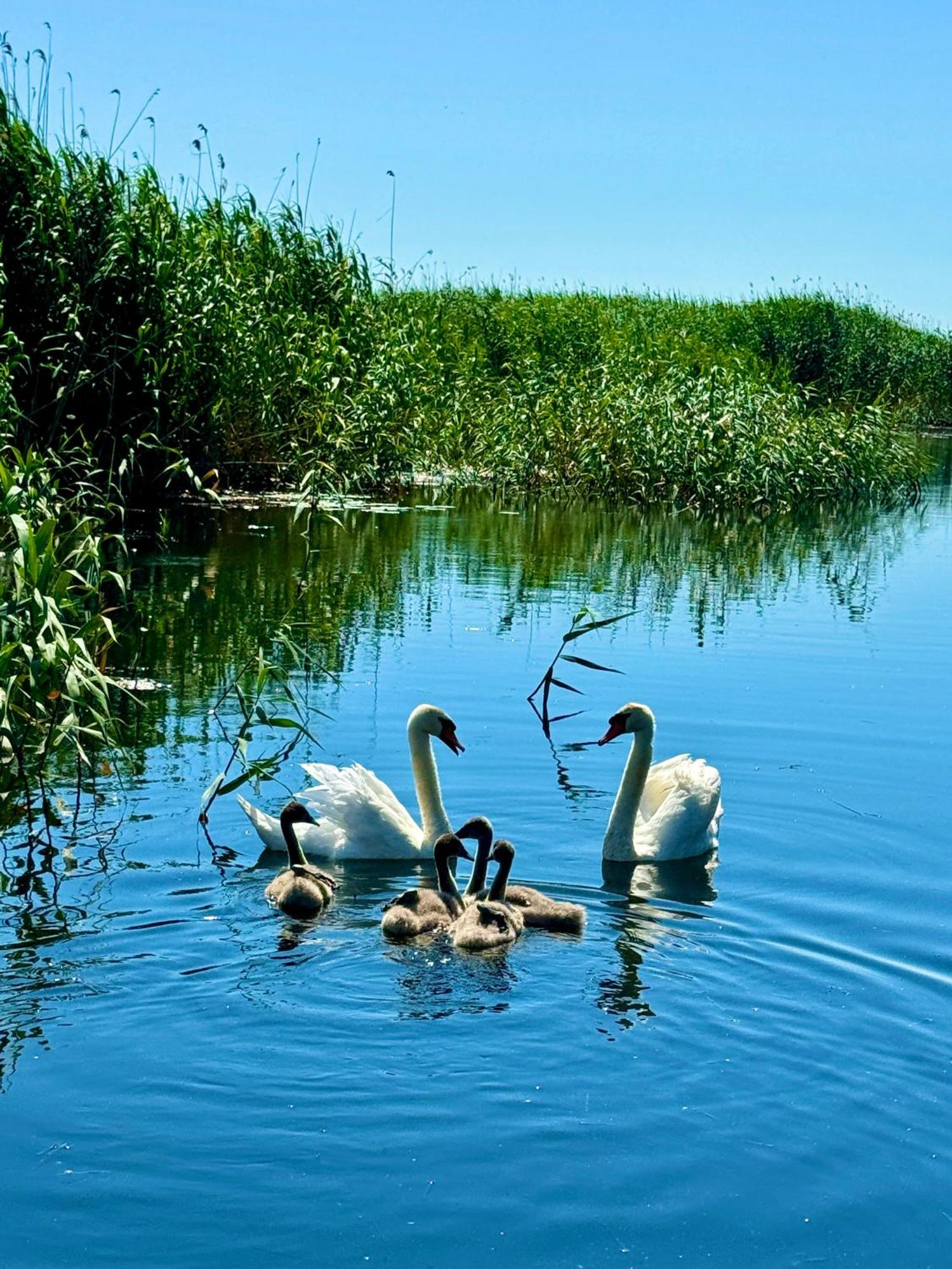 Danube Delta View Hotel Dunavatu de Jos Luaran gambar