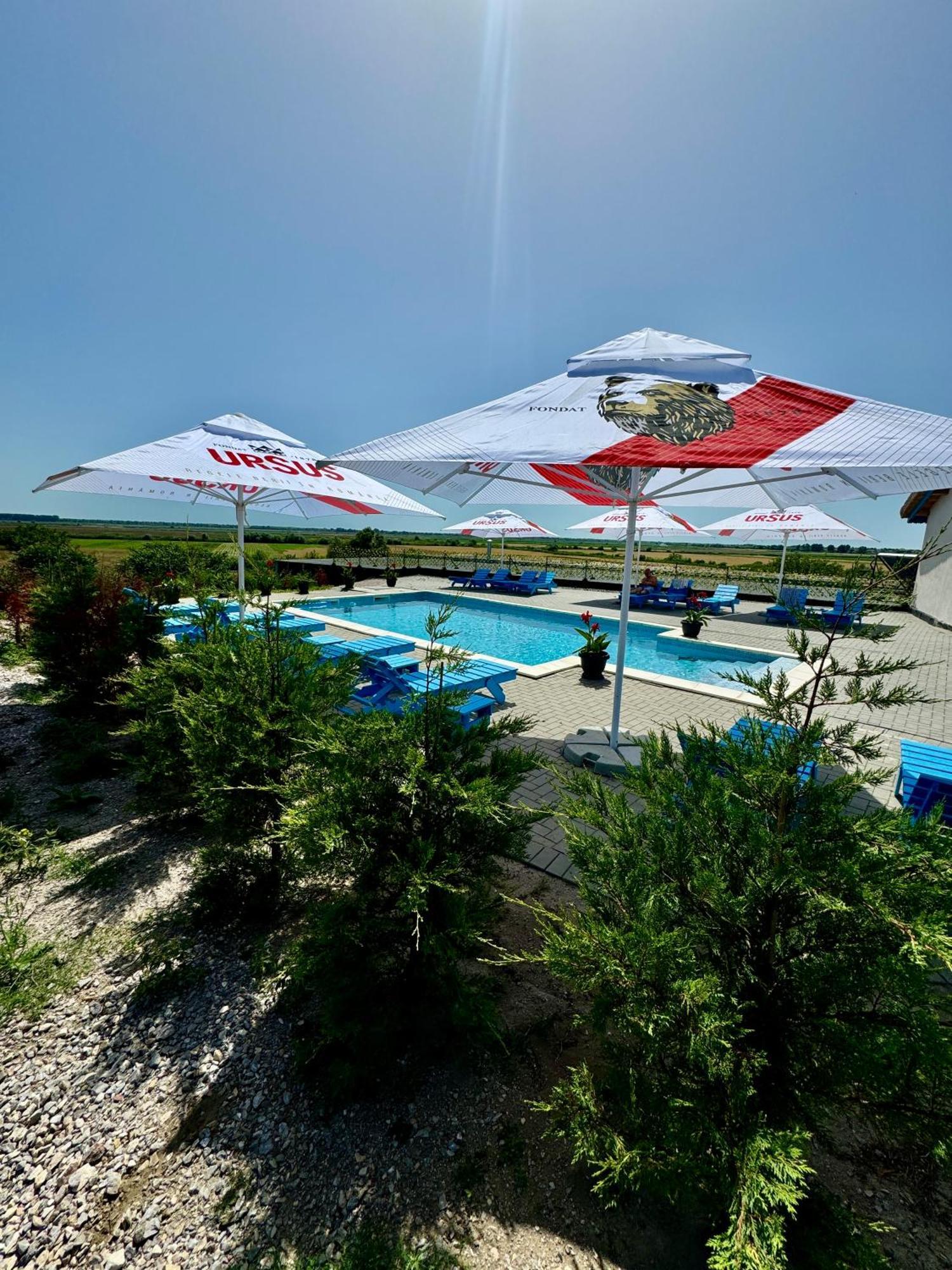 Danube Delta View Hotel Dunavatu de Jos Luaran gambar